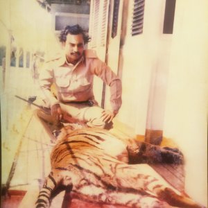 Royal Bengal Tiger Hunt