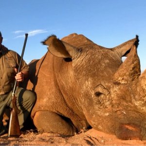 Rhino Hunt