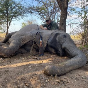 Elephant Hunt Zimbabwe