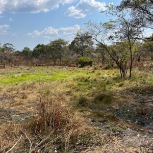 Leopard Blind Tanzania