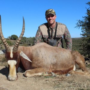 Blesbok Hunt Eastern Cape South Africa