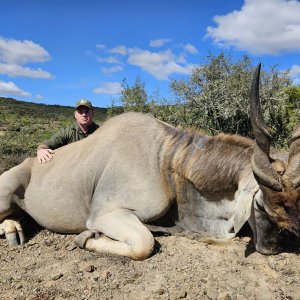 Eland Hunt Eastern Cape South Africa