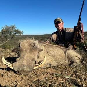 Warthog Hunt Eastern Cape South Africa