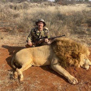 Lion Hunting