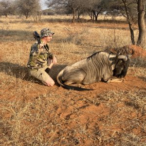 Blue Wildebeest Hunting