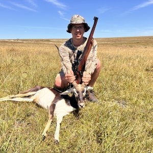 Blackbuck Hunting