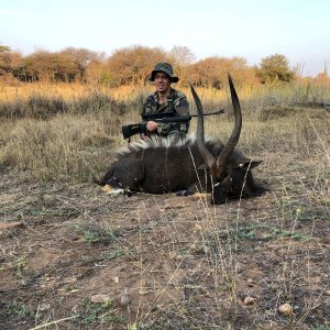 Nyala Hunt