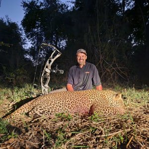 Leopard Bow Hunt Zambia