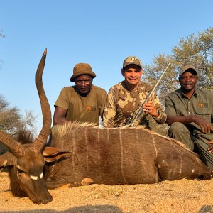 Nyala Hunt South Africa