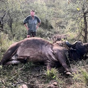 Buffalo Hunt Klaserie Reserve South Africa