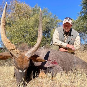 Nyala Hunt South Africa