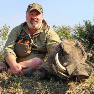 Warthog Hunting South Africa