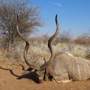 Kudu Hunt Botswana