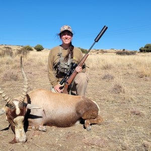 Blesbok Hunt South Africa