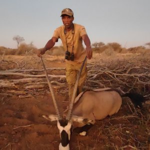 Gemsbok Hunt Namibia