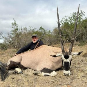 Gemsbok Hunt Eastern Cape South Africa