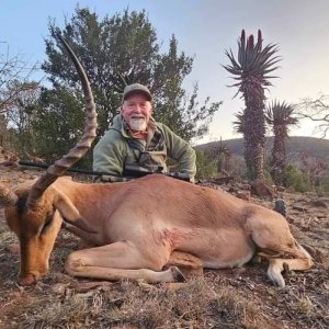 Impala Hunt Eastern Cape South Africa