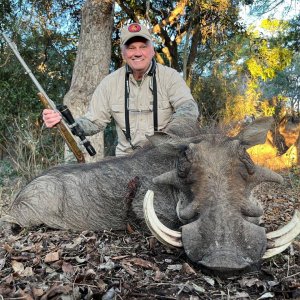 Warthog Hunt South Africa