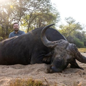 Buffalo Hunt South Africa