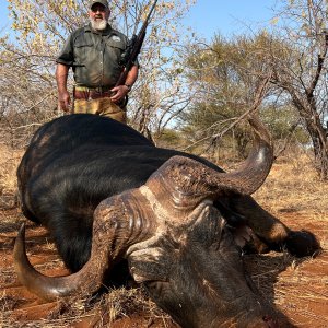 Buffalo Hunt Limpopo South Africa