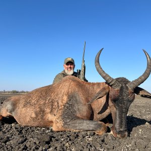 Tsessebe Hunt Limpopo South Africa