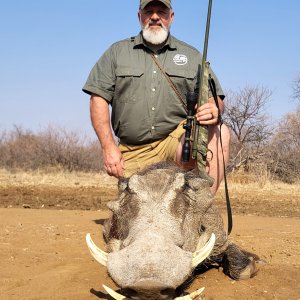 Warthog Hunt Limpopo South Africa