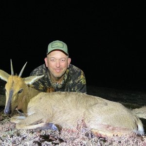 Duiker Hunt South Africa