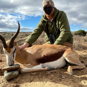 Springbok Hunt South Africa