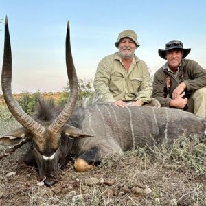 Nyala Hunt Karoo South Africa