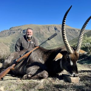 Waterbuck Hunt Karoo South Africa