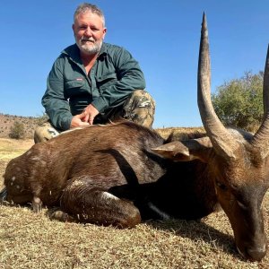 Bushbuck Hunt Karoo South Africa