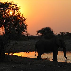 Sunset Etosha Namibia