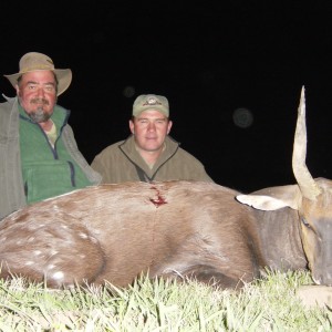 Bushbuck Hunting with Savanna Hunting Safaris