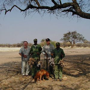 Bird Hunting Namibia Africa