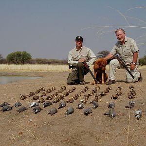 Bird Hunting Namibia Africa