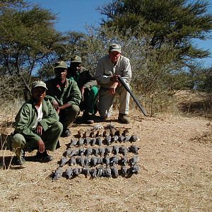 Bird Hunting Namibia Africa