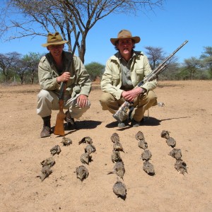 Bird Hunting Namibia Africa