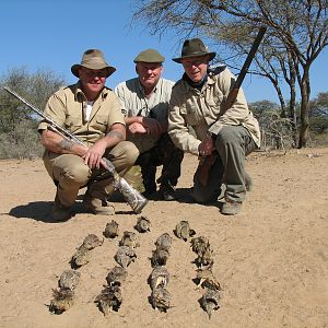 Bird Hunting Namibia Africa