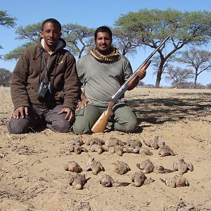 Bird Hunting Namibia Africa