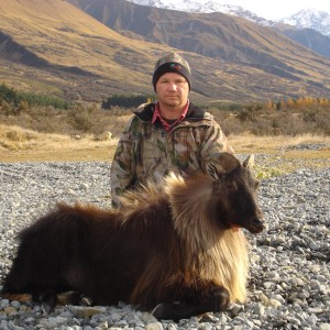 New Zealand Tahr Hunt