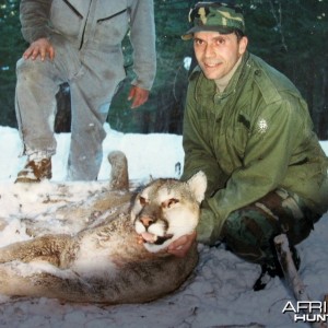 Hunting Cougar New Mexico