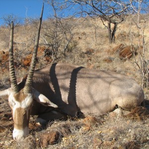 Hunting Golden Oryx in Namibia