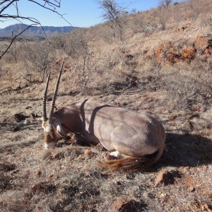 Hunting Golden Oryx in Namibia