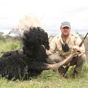 Hunting Ostrich in Namibia