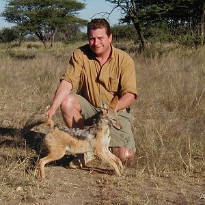 Hunting Black-backed Jackal in Namibia