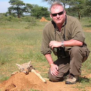 Hunting Black-backed Jackal in Namibia