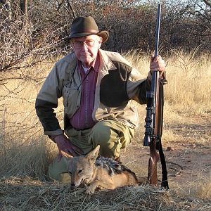 Hunting Black-backed Jackal in Namibia