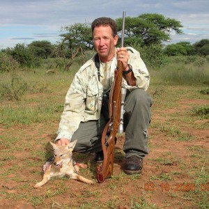 Hunting Black-backed Jackal in Namibia