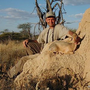 Hunting Damara Dik-Dik in Namibia