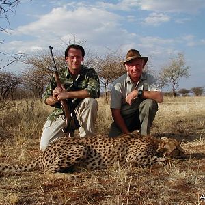 Hunting Cheetah in Namibia